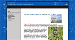 Desktop Screenshot of bushmedicine.ws