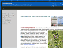 Tablet Screenshot of bushmedicine.ws
